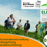 Praxistag Grünlandbewirtschaftung: Grünlandbegehung mit Bestandsbeurteilung im Landgut Weimar Bio GmbH