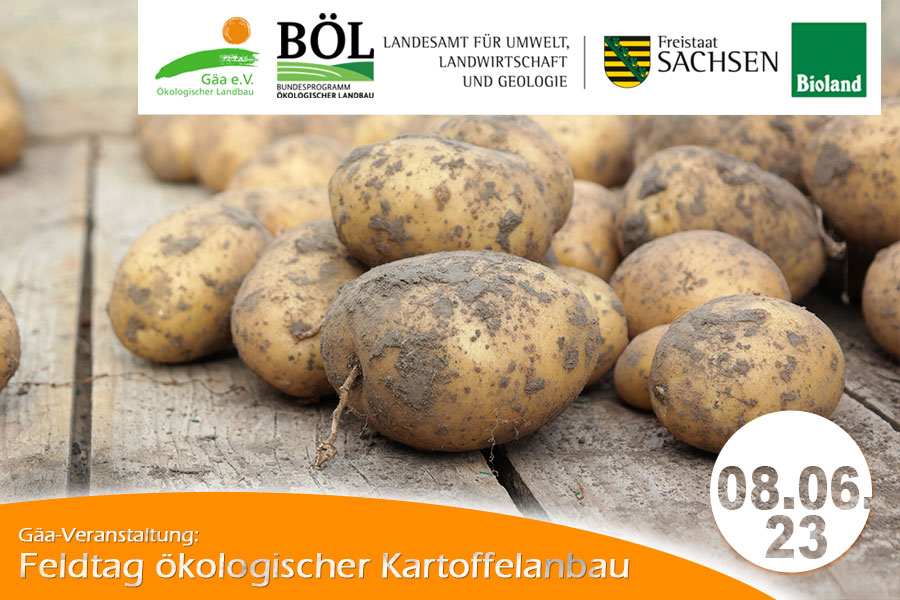 Feldtag ökologischer Kartoffelanbau